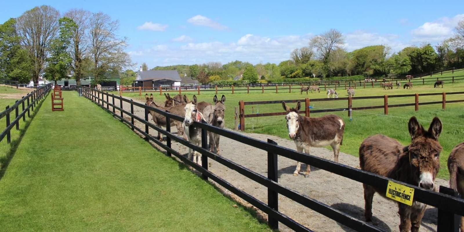 Charleville Park Hotel & Leisure Club Ireland Bagian luar foto